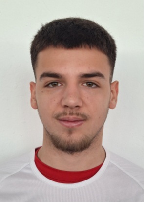 Danijel Džajić