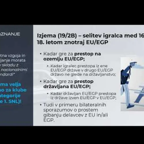 Spletni Seminar - Mednarodni prestopi - Varstvo mladoletnikov