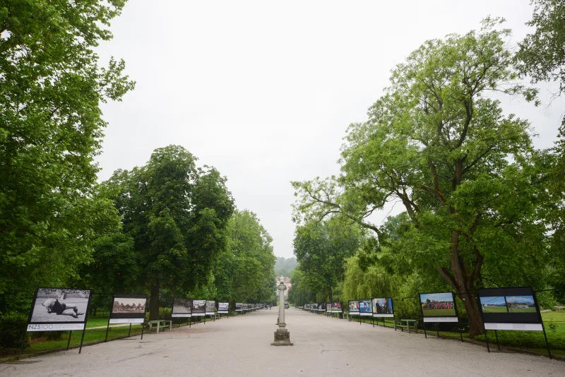 MME_0331-(ZF-10642-14329-1-012).jpg