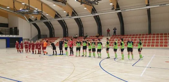 1960ZFLKMNSlovenskeGoriceZNKCelje01_small.jpg