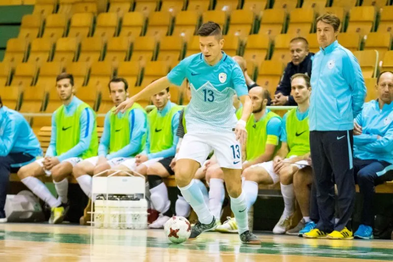 Slovenija Poljska01.jpg