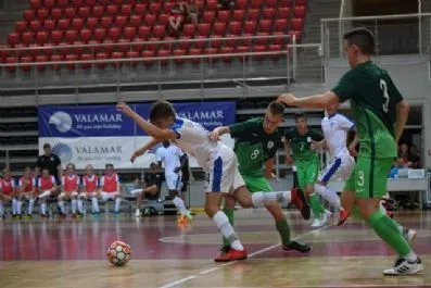 1206SlovenijaFinska04_small.jpg