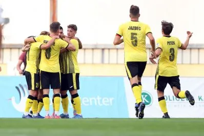 AAFE9581-(ZF-2601-12601-1-002)_small.jpg