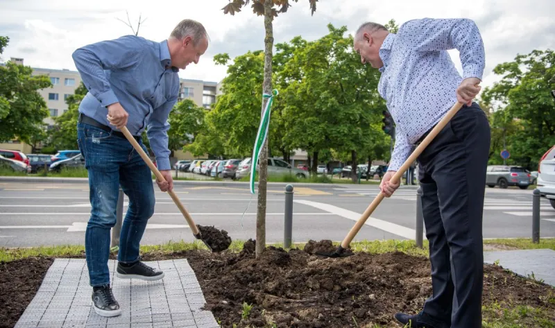 sajenje dreves_rm_normal.jpg
