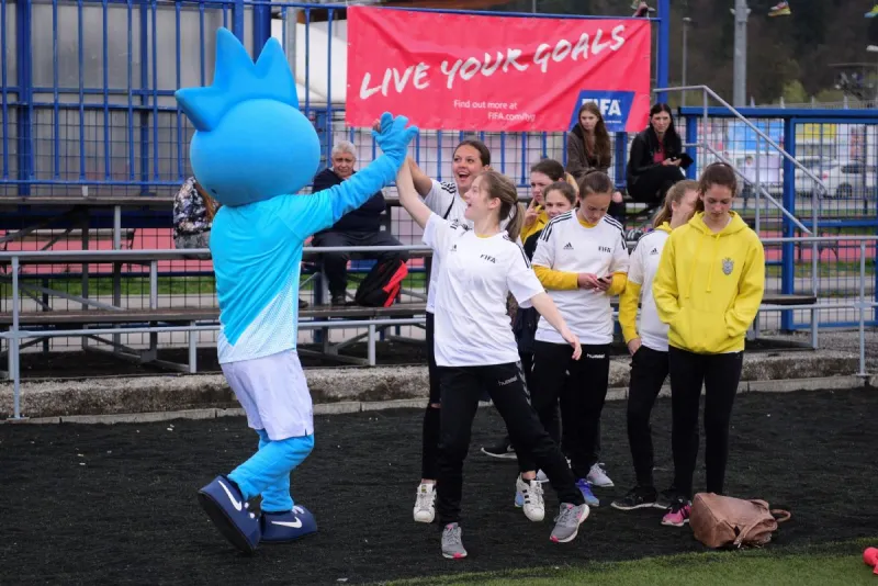 LYGDomzale06_normal.jpg