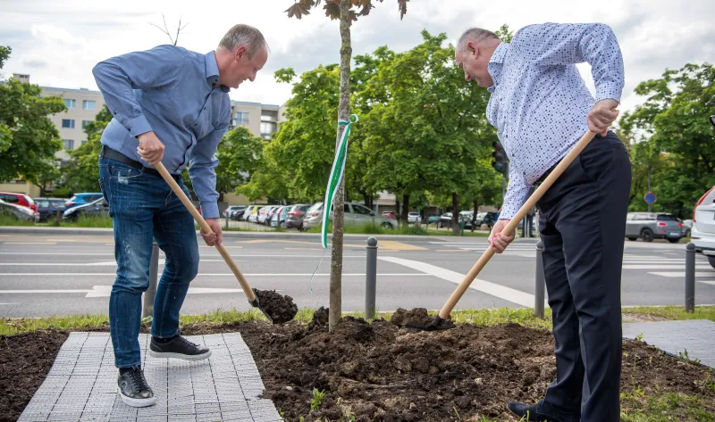 sajenje dreves_rm.jpg