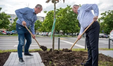 sajenje dreves_rm_small.jpg