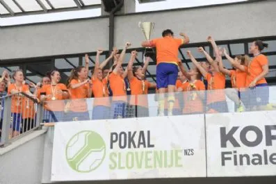 870PokalNZS06_small.jpg