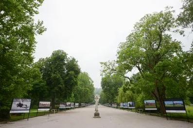 MME_0331-(ZF-10642-14329-1-012)_small.jpg