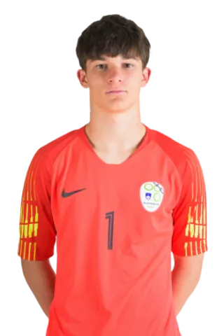 Lan Ambrož