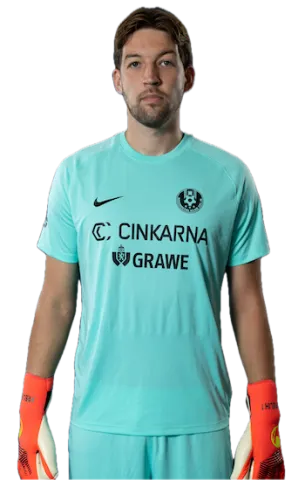 žiga frelih