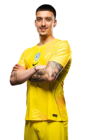 Igor Vekič