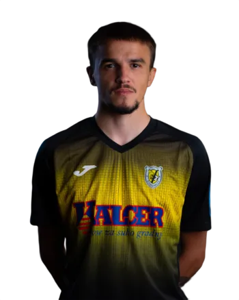 Nikola Jojic