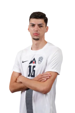 Aleks Stojaković