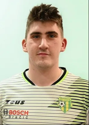 Žiga Rogina