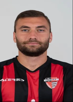 Haris Dedić