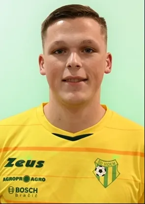 Miha Mesarič