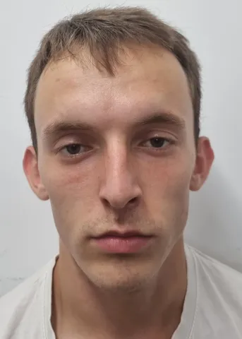 Vid Pustinek
