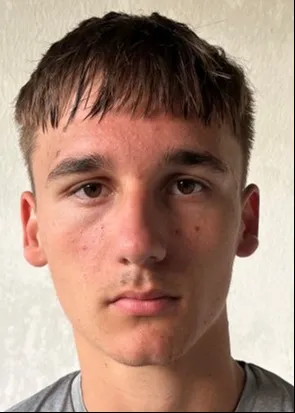 Žan Miloš Stanič