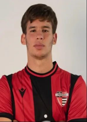 Radovan Rakić