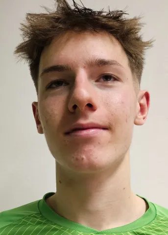 Niko Radek
