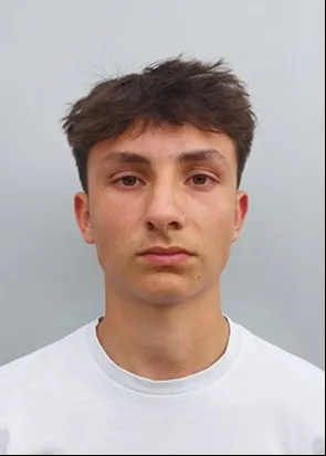 Luka Petek