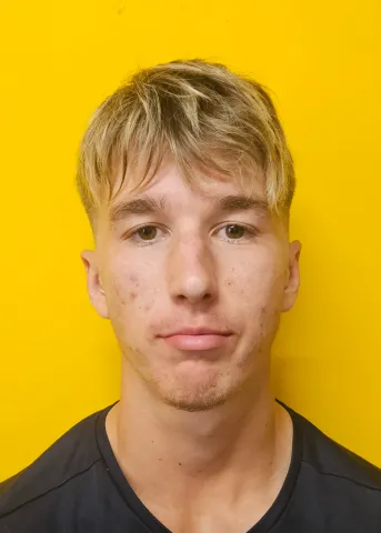 Vid Hojč