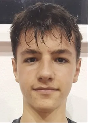 Vid Tramšek