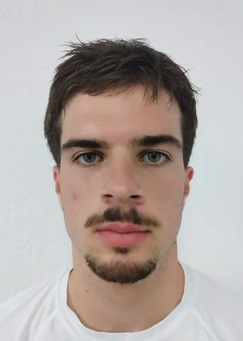 Tai Križnik