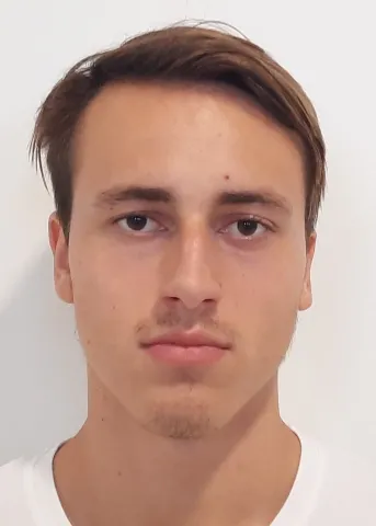 Žiga Brinovšek
