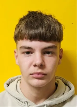 Lan Hojnik