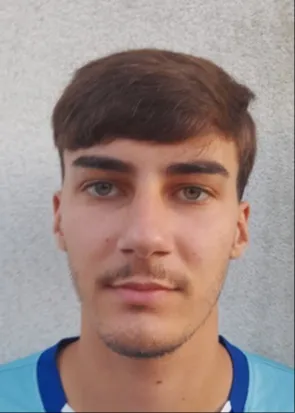 Tin Usmiani