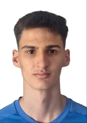 Lan Marinič