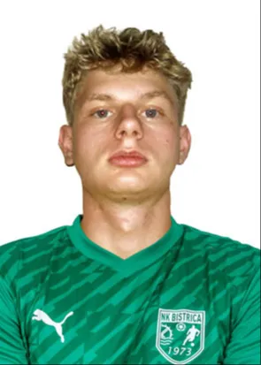 Žiga Ozbetič