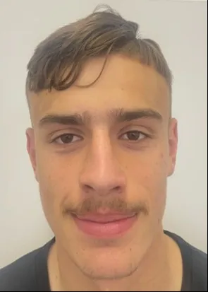 Naj Lulić