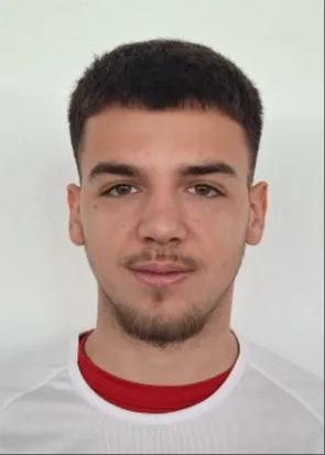 Danijel Džajić